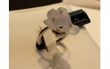 Anello Santamaria